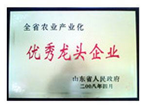 全省农业产业化优秀龙头企业